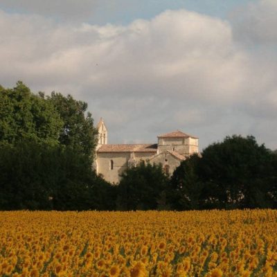Finca para bodas en Palencia rodeada de campos de girasoles - Finca Santa Eufemia.